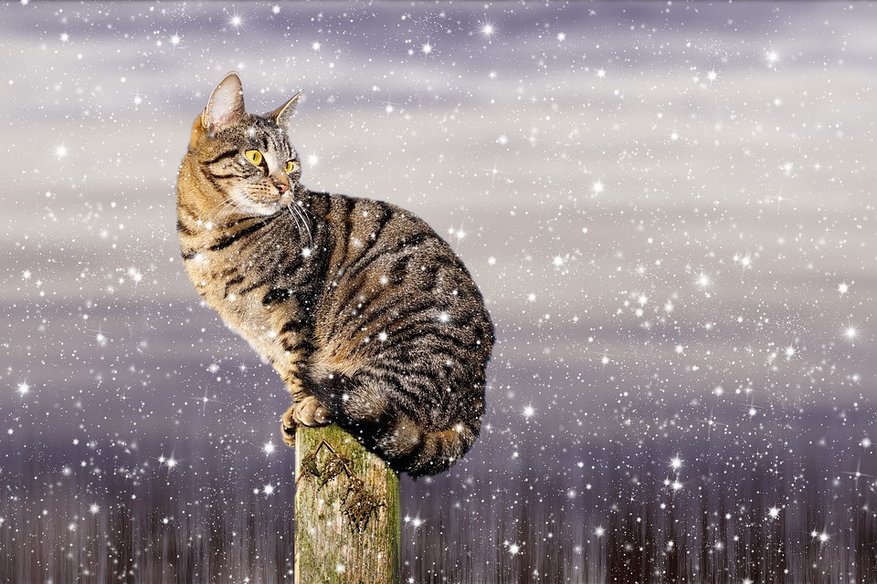 Keep warm this winter with WRCC Energy