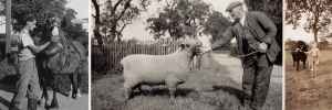 Images from the My Farming Life project